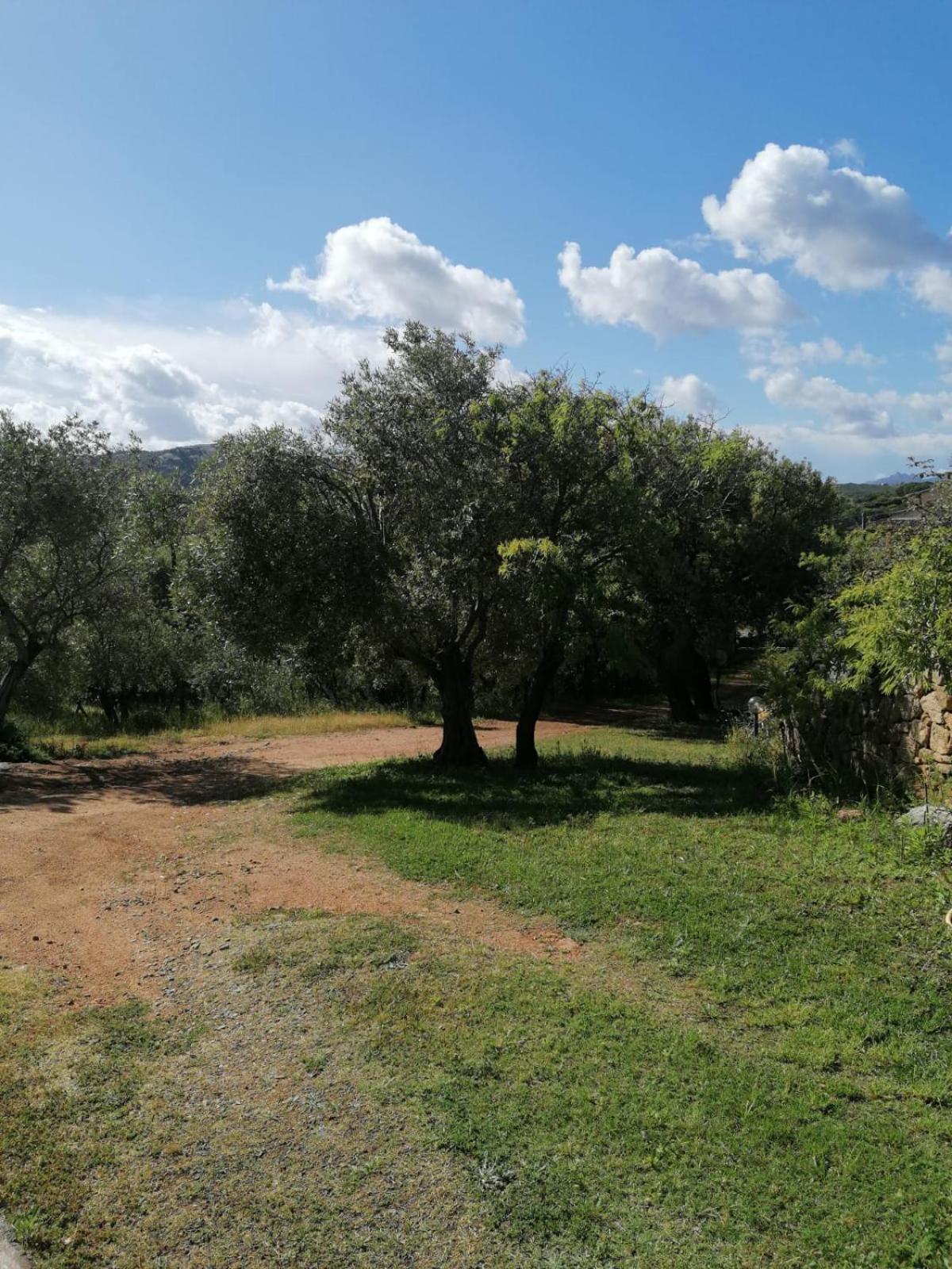 Casa Orecchioni Arzachena Εξωτερικό φωτογραφία